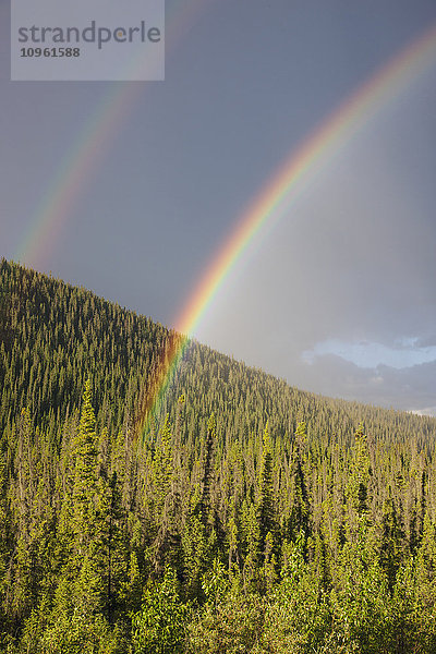 Doppelter Regenbogen über einem immergrünen Wald  Yukon Territorium  Kanada  Sommer