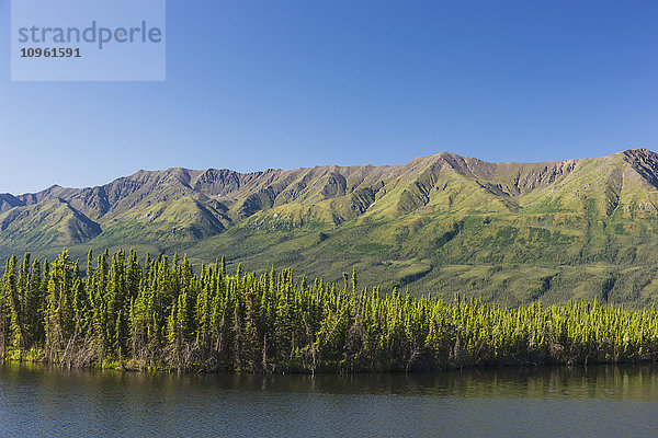 Blick auf den Pickhandle-See und die Berge entlang des Alaska Highway  Yukon Territory  Kanada  Sommer