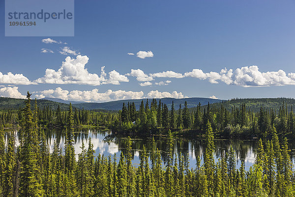 Aussicht auf die kanadische Seite der Grenze zwischen Kanada und den USA  Yukon-Territorium  Sommer