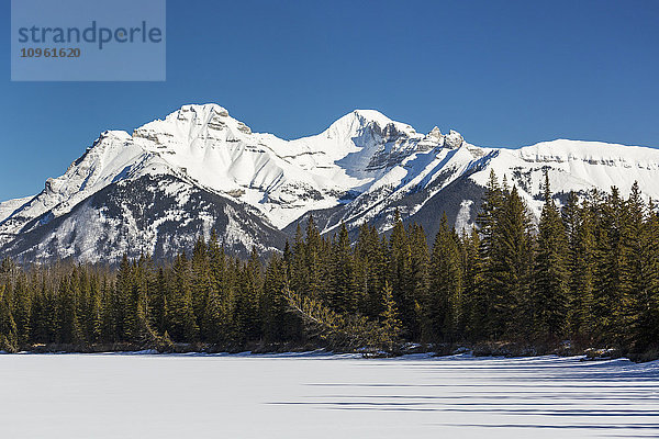 Schneebedeckte Berge mit einem schneebedeckten See  immergrüne Bäume und blauer Himmel; Banff  Alberta  Kanada'.