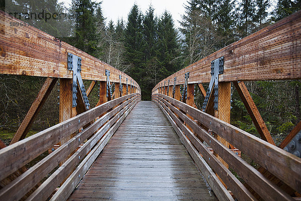 Die Brücke über den Fish Creek auf Douglas Island  Tongass National Forest  Südost-Alaska