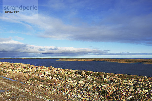 Tundra und der Arktische Ozean; Cambridge Bay  Nunavut  Kanada