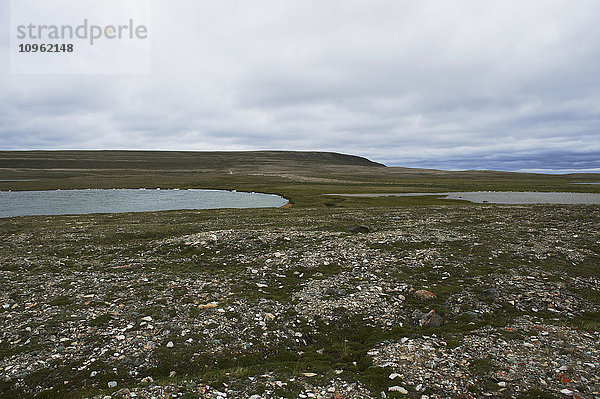 Berg Pelly und Tundra; Cambridge Bay  Nunavut  Kanada'.