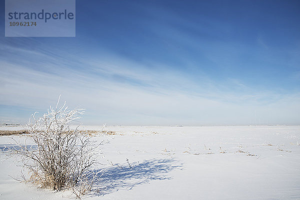 Winterlandschaft an einem sehr kalten Tag in Alberta  südlich von Calgary; Alberta  Kanada'.