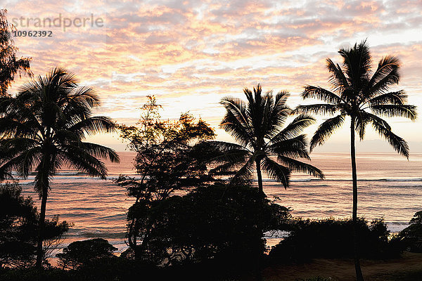 Morgensonnenaufgang durch die Palmen am Lydgate Beach; Lydgate  Kauai  Hawaii  Vereinigte Staaten von Amerika'.