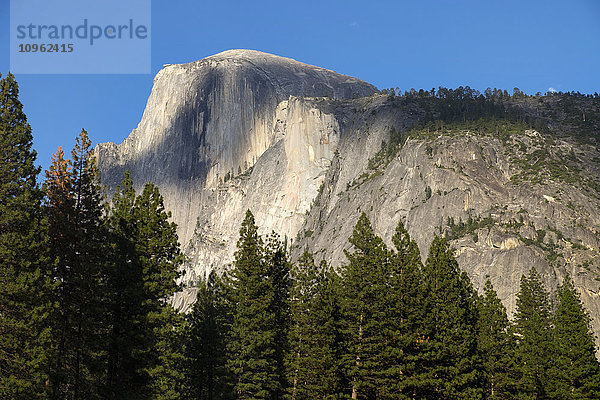 Aussicht auf den Half Dome vom Yosemite Valley  Yosemite National Park; Kalifornien  Vereinigte Staaten von Amerika'.