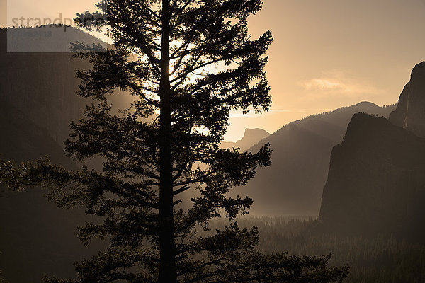 Sonnenaufgang über dem Half Dome am Tunnel View  Yosemite National Park; Kalifornien  Vereinigte Staaten von Amerika'.