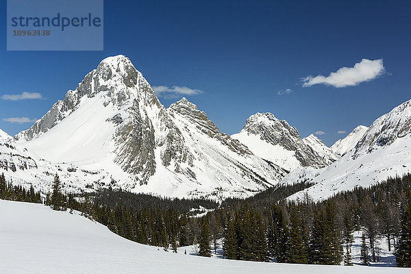 Schneebedeckte Berglandschaft mit immergrüner Wiese und blauem Himmel und Wolken; Alberta  Kanada'.