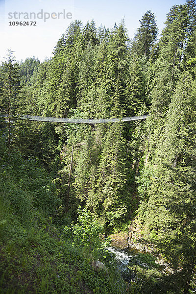 Capilano-Hängebrücke; Vancouver  British Columbia  Kanada'.