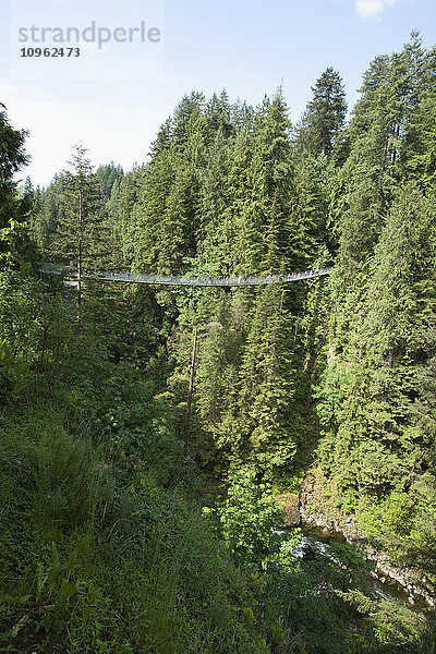Capilano-Hängebrücke; Vancouver  British Columbia  Kanada'.