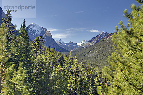 Blick auf das Tonquin-Tal von der Straße nach Edith Cavell; Jasper  British Columbia  Kanada .