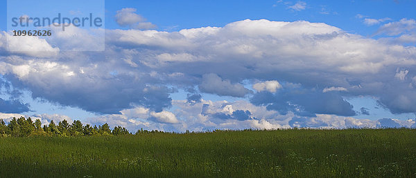 Heuwiesen am frühen Abend; Waterloo  Quebec  Kanada'.