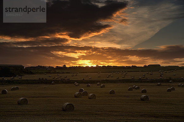 Dramatischer Sonnenuntergang mit dunklen Wolken über einem Feld mit Heuballen; Whitburn  Tyne and Wear  England'.