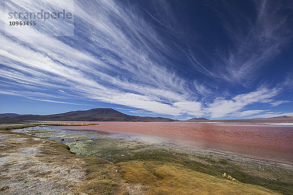 Laguna Colorada in der Region Altiplano; Sur Lipez  Bolivien .
