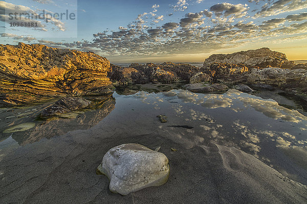 Spätes Tageslicht auf den Felsen von Marble Beach im Namakwaland National Park; Südafrika'.