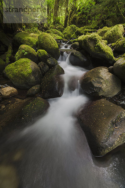 Ruckel Creek; Oregon  Vereinigte Staaten von Amerika'.