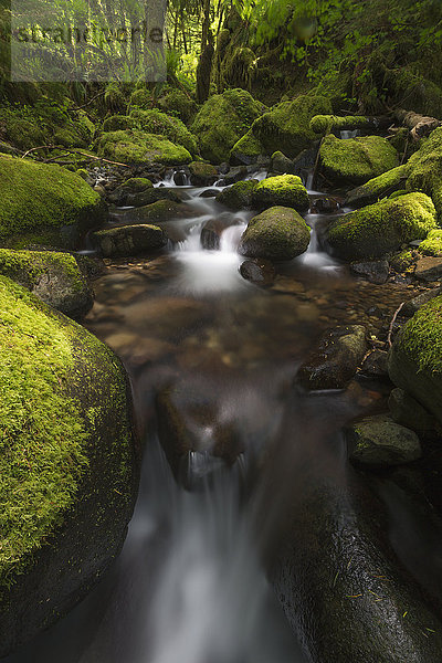 Ruckel Creek; Oregon  Vereinigte Staaten von Amerika'.
