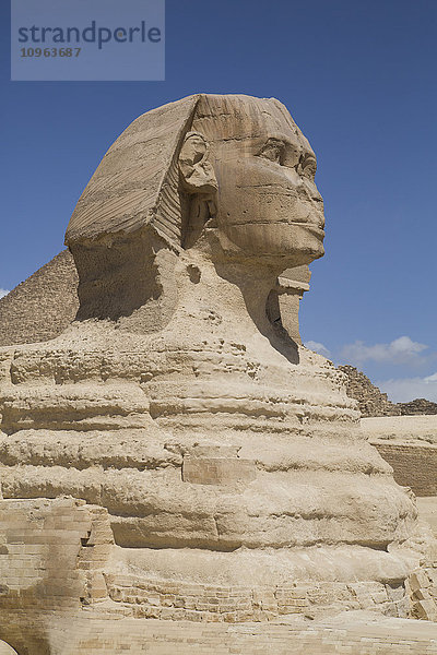 Sphinx  Gizeh-Pyramiden; Gizeh  Ägypten'.