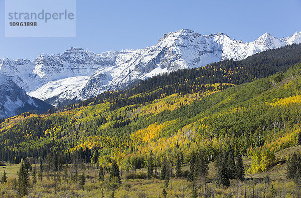 Herbstfarben  abseits der Straße 7  Sneffels Range  nahe Ouray; Colorado  Vereinigte Staaten von Amerika'.