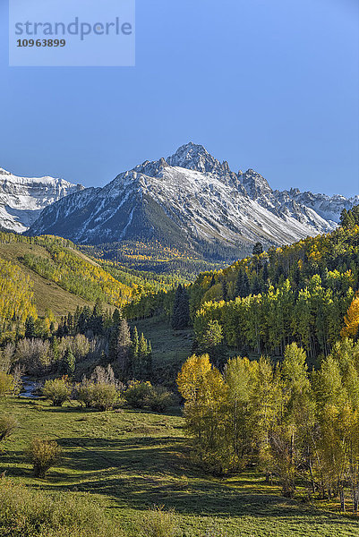 Herbstfarben  abseits der Straße 7  Sneffels Range  nahe Ouray; Colorado  Vereinigte Staaten von Amerika'.