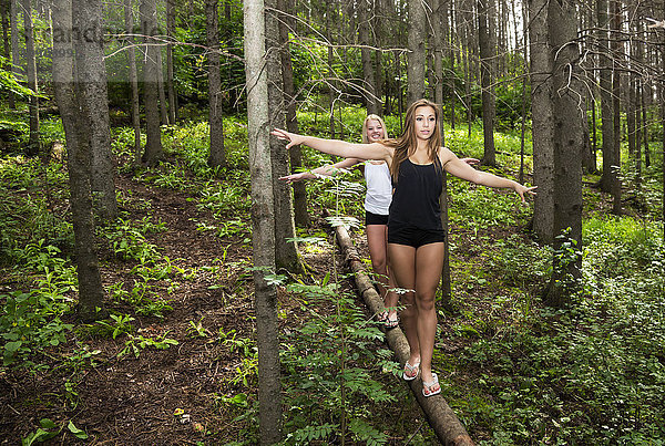 Zwei Freundinnen im Teenageralter balancieren auf einem umgestürzten Baumstamm im Wald in einem Park; Edmonton  Alberta  Kanada'.