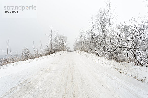 Straße während eines Schneesturms; Caledon  Ontario  Kanada'.