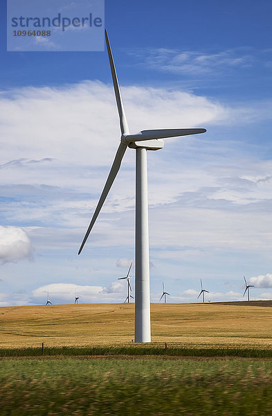 Windkraftanlage  Süd-Alberta; Alberta  Kanada'.