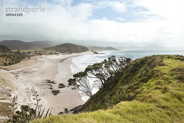 Blick auf die Küste  Südpazifik; Nordinsel  Neuseeland'.