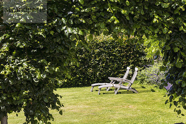 Zwei hölzerne Liegestühle auf einer von Büschen eingerahmten Wiese; Carhaix-Plouguer  Bretagne  Frankreich'.
