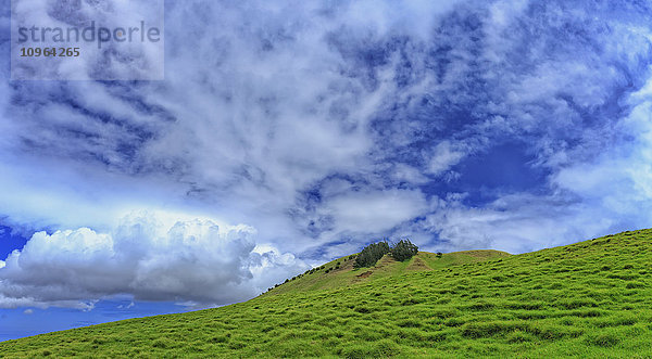 Panorama des Hokuula-Schlackenkegels  eine beliebte Wanderung  auf dem Buster Brown Hill; Kamuela  Insel Hawaii  Hawaii  Vereinigte Staaten von Amerika'.