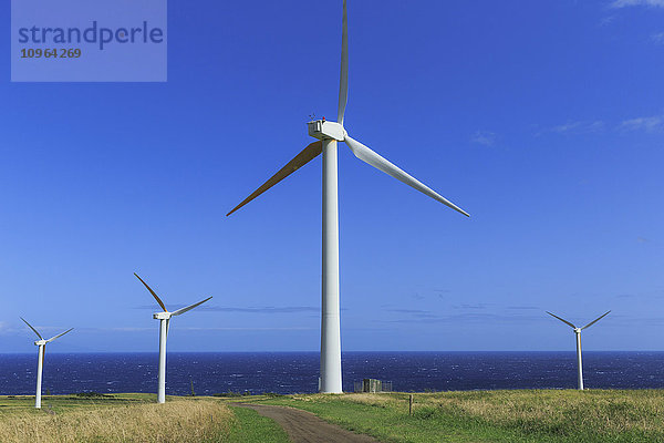 Windmühlen  North Kohala  Upolu; Insel Hawaii  Hawaii  Vereinigte Staaten von Amerika'.