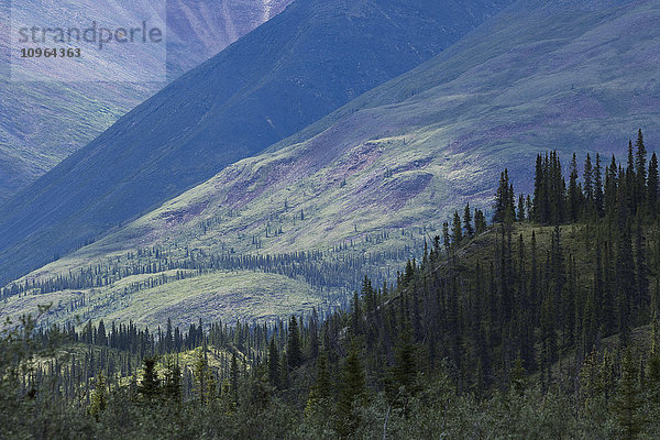 Spätnachmittagslicht  das auf die Berge entlang des Wind River im Peel Watershed scheint; Yukon  Kanada