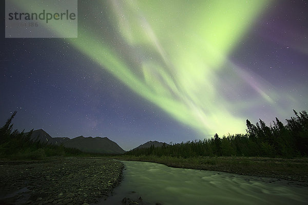 Aurora Borealis über Quill Creek; Yukon  Kanada'.