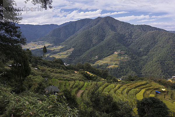 Ackerland in einem von Bergen umgebenen Tal; Thimphu  Bhutan'.