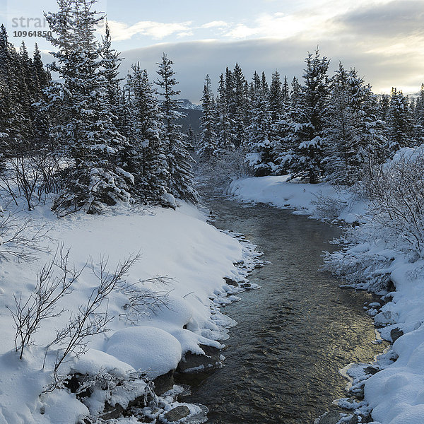 Ein Fluss fließt durch eine schneebedeckte Landschaft; Lake Louise  Alberta  Kanada'.