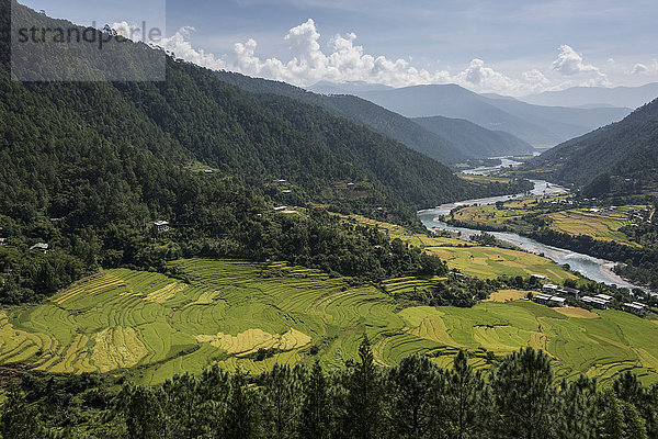 Fluss  der durch ein Tal mit üppigem Ackerland  umgeben von Bergen  fließt; Thimphu  Bhutan'.