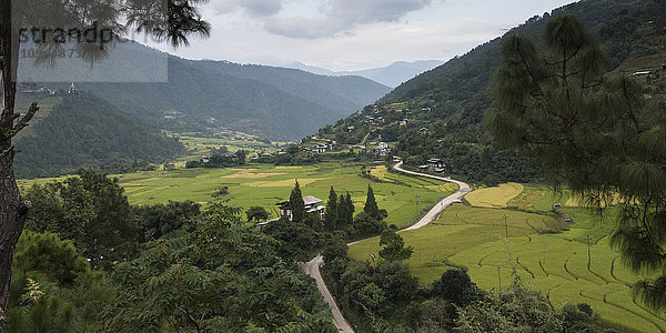 Straße  die sich durch ein üppiges  von Bergen umgebenes Tal schlängelt; Punakha  Bhutan'.