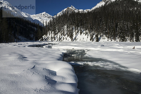 Wasser  das unter schmelzendem Schnee und den kanadischen Rocky Mountains fließt  Yoho National Park; Field  British Columbia  Kanada'.