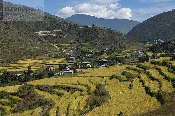 Terrassenförmiges Ackerland in einem Tal; Bhutan'.