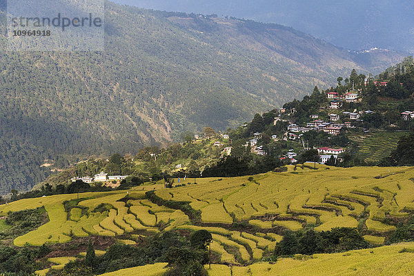 Ländliche Landschaft mit terrassiertem Ackerland; Thimphu  Bhutan'.