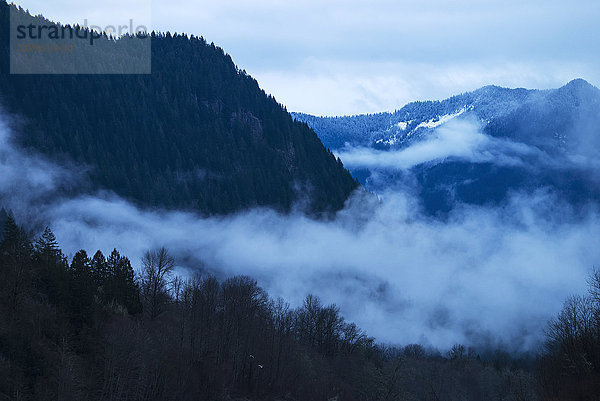 Landschaftlicher Blick auf Nebel inmitten der Wälder und Berge des North Cascades National Park  Washington  USA