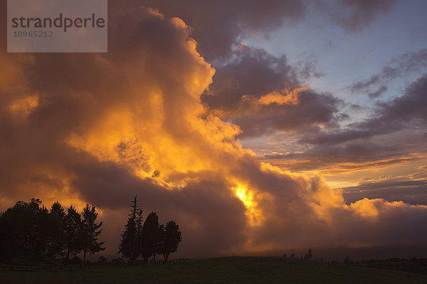'Orange leuchtende Wolken bei Sonnenuntergang; Kula  Maui  Hawaii  Vereinigte Staaten von Amerika'.