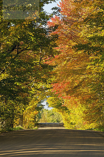Landstraße im Herbst; West Bolton  Quebec  Kanada'.