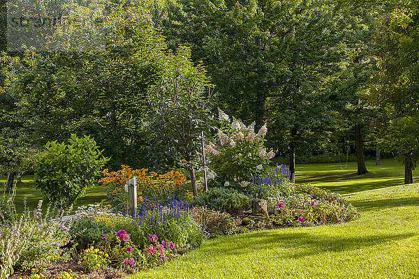 Blühende Blumen in einem Garten; Granby  Quebec  Kanada'.