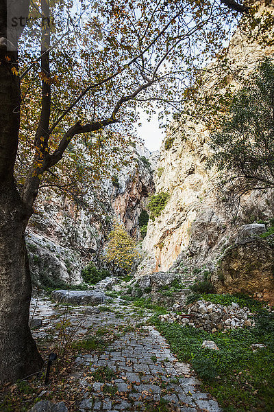 Ein ausgetretener und zugewachsener Pfad im antiken Griechenland; Delphi  Griechenland'.