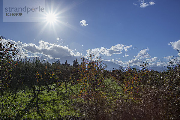 Olymp und Sonnenaufgang; Griechenland'.