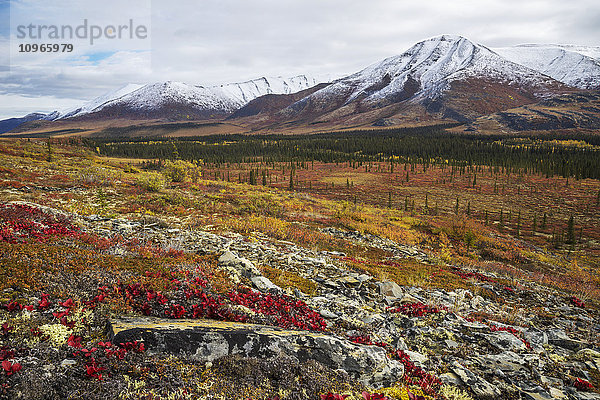 Die Landschaft entlang des Dempster Highway leuchtet in allen Herbstfarben; Yukon  Kanada'.
