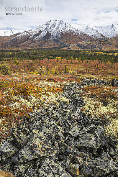 Die Landschaft entlang des Dempster Highway leuchtet in allen Herbstfarben; Yukon  Kanada'.