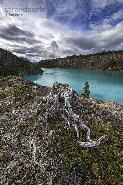 Atlin Lake; British Columbia  Kanada'.