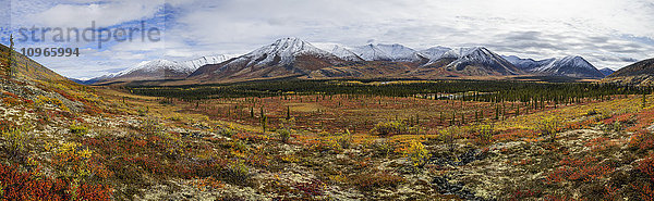 Panoramablick auf die Ogilvie Mountains entlang des Dempster Highway; Yukon  Kanada'.